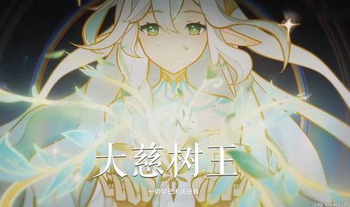 大慈树王爆料视频大全,揭秘神秘事件背后的真相