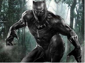 黑豹足球最新爆料,揭秘球队内部最新动态与转会传闻